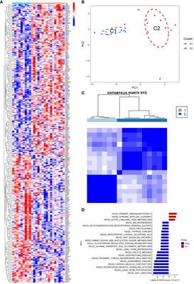 CAP2 contributes to Parkinson’s disease diagnosed by neutrophil extracellular trap-related immune activity